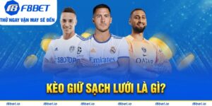 Tìm hiểu về loại kèo giữ sạch lưới