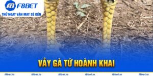 Vảy Gà Tứ Hoành Khai