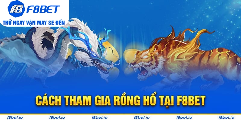rồng hổ f8bet
